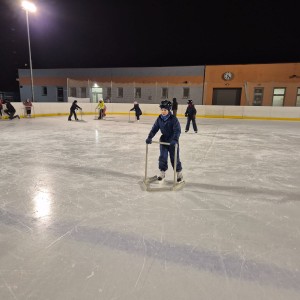 Hukvaldská oddílovka na ledě