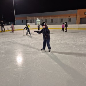 Hukvaldská oddílovka na ledě