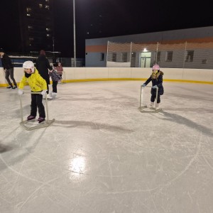 Hukvaldská oddílovka na ledě