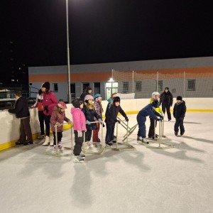 Hukvaldská oddílovka na ledě