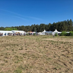 Intercamp 2026