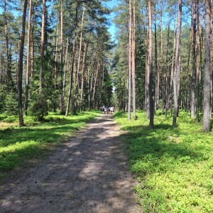 Intercamp 2026