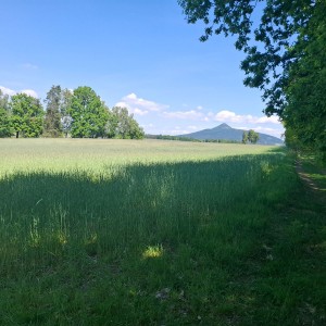Intercamp 2026
