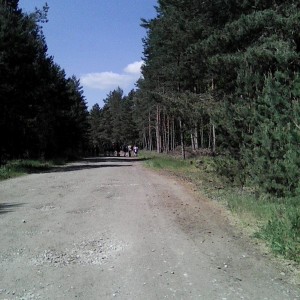 Intercamp 2026