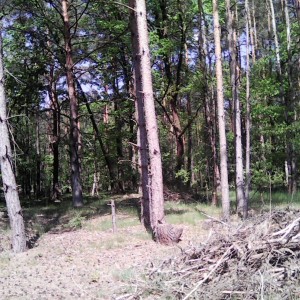 Intercamp 2026