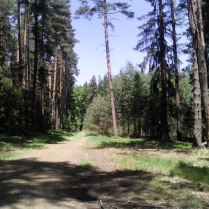 Intercamp 2026