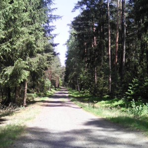 Intercamp 2026