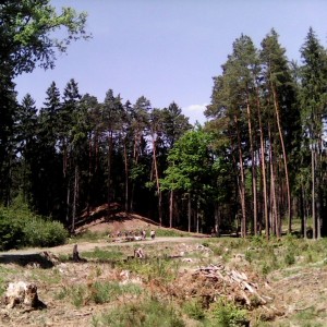 Intercamp 2026