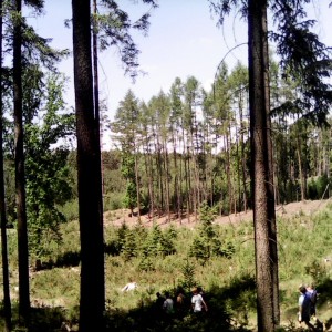 Intercamp 2026