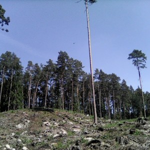 Intercamp 2026