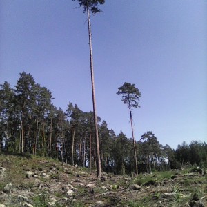 Intercamp 2026