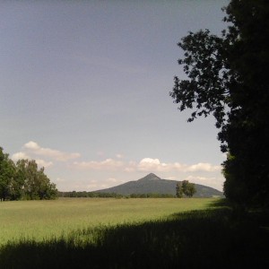 Intercamp 2026
