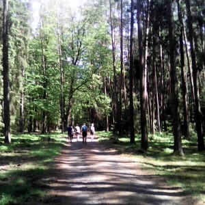 Intercamp 2026