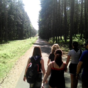 Intercamp 2026