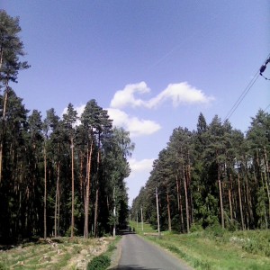 Intercamp 2026