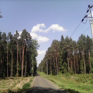 Intercamp 2026