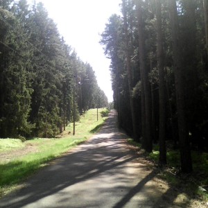 Intercamp 2026