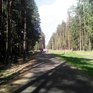Intercamp 2026