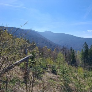 Ivančena