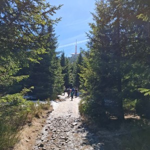 Ivančena