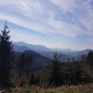 Ivančena