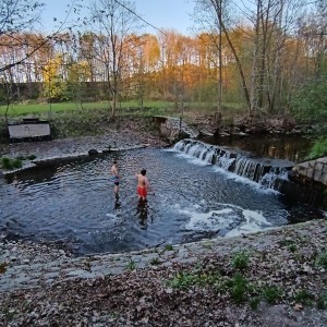 Ivančena