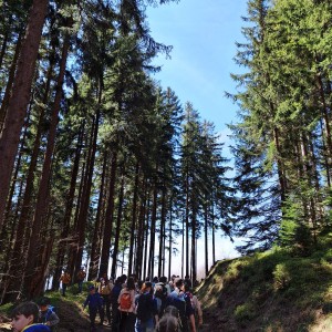 Ivančena - Hukvaldy