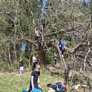 Ivančena - Hukvaldy