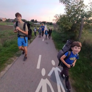 Jestřábi v Hodoníně