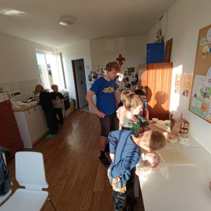 Jestřábi v Hodoníně