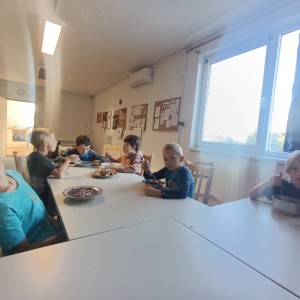 Jestřábi v Hodoníně