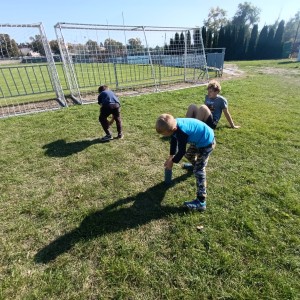 Jestřábi v Hodoníně