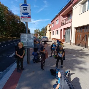 Jestřábi v Hodoníně