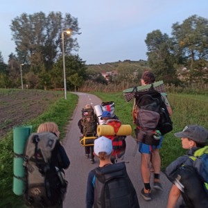 Jestřábi v Hodoníně