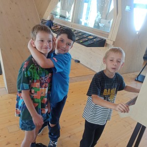 Jestřábi v Hodoníně
