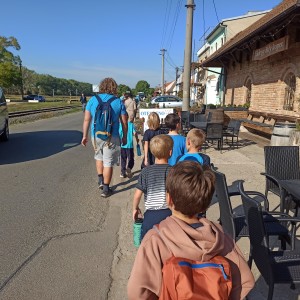 Jestřábi v Hodoníně