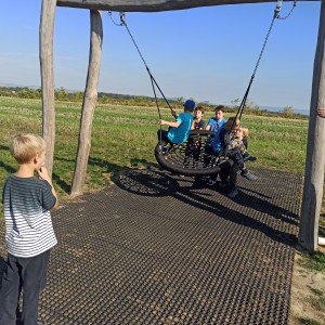 Jestřábi v Hodoníně