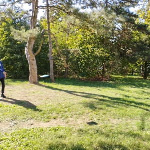 Kobří discgolf