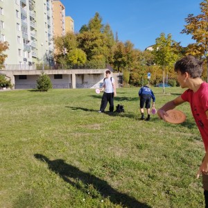 Kobří discgolf
