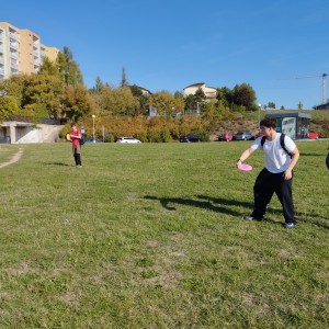 Kobří discgolf