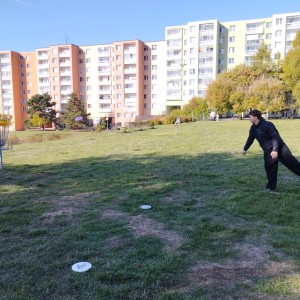 Kobří discgolf