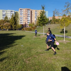 Kobří discgolf