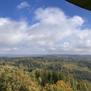 Lachtaní výprava na Babí lom