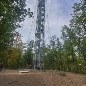 Výprava Lasiček do obory Holedná