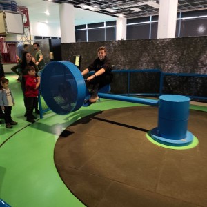 Lednová Lemuří výprava do Vidy