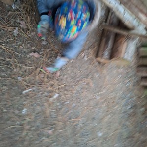 Lednová Lemuří výprava do Vidy