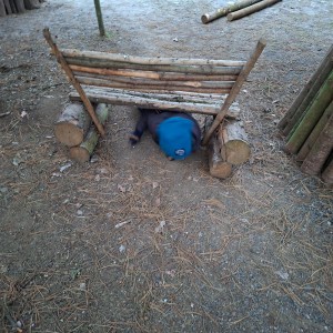 Lednová Lemuří výprava do Vidy