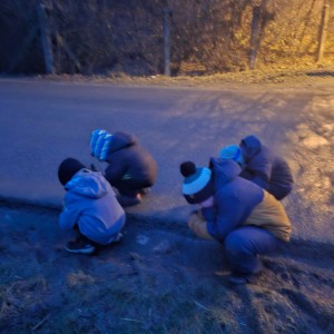 Lednová Lemuří výprava do Vidy