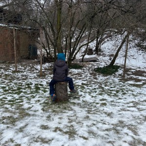 Lednová Lemuří výprava do Vidy