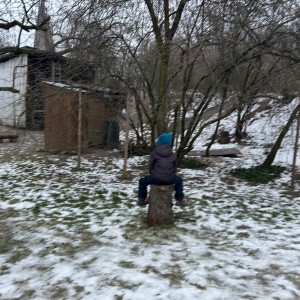 Lednová Lemuří výprava do Vidy